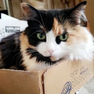 Meet your Posher, Blair